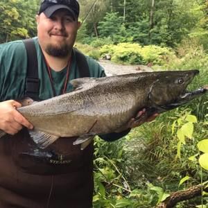 Meet your Posher, Dan